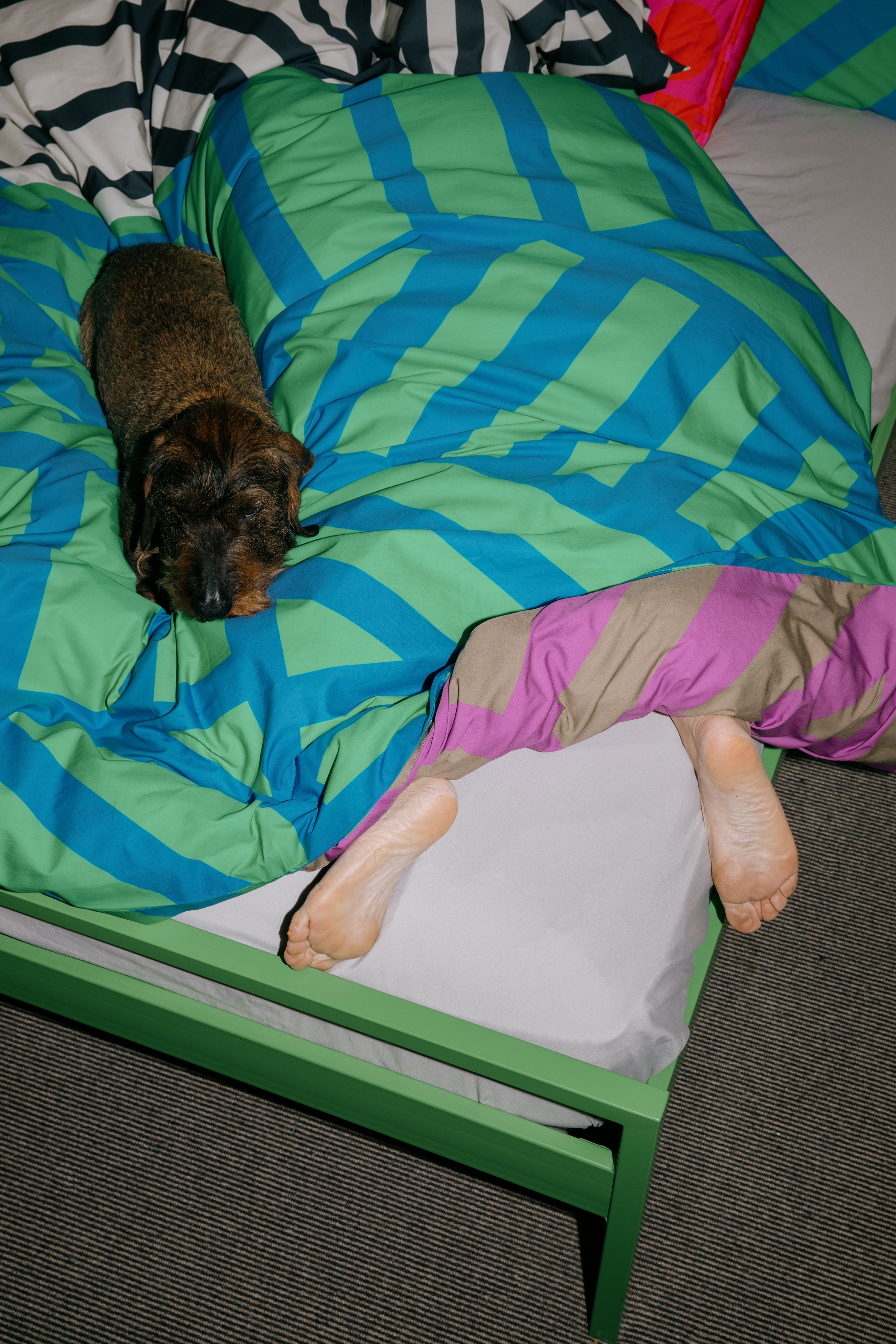 Reversible Duvet Set x Sidewinder