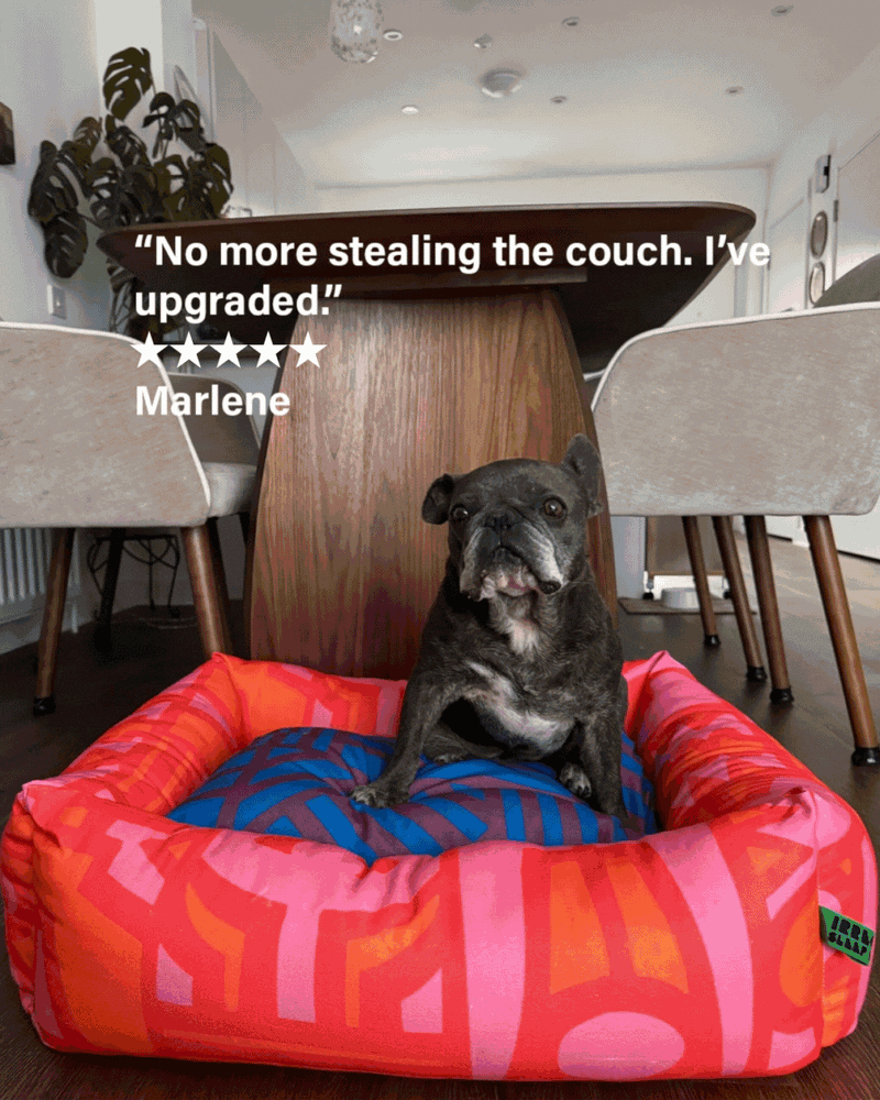 Irregular Dog Bed in Cayenne: Medium